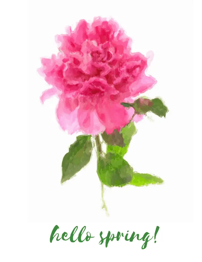 Free spring printable. #peonies #spring #flowers