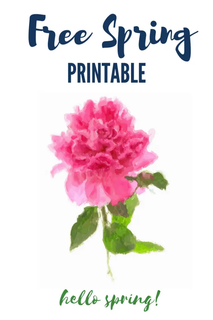 Free spring printable. #peonies #spring #flowers