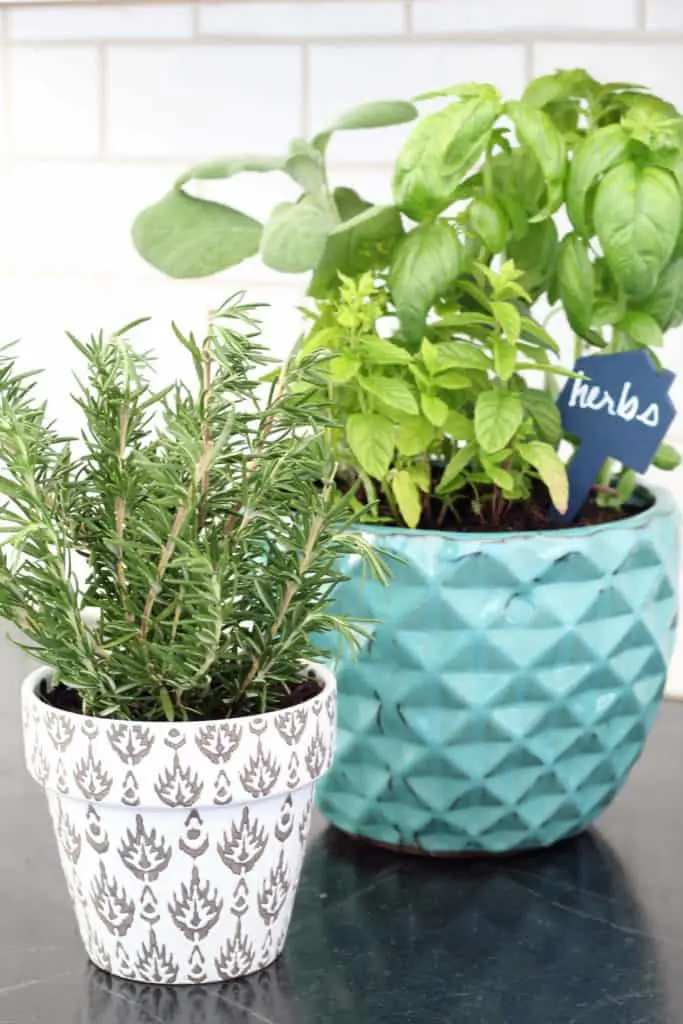 tips for a kitchen herb garden 