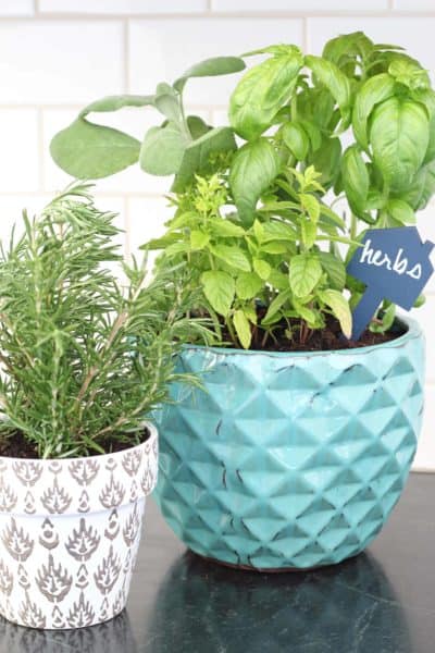 Tips For A Kitchen Herb Garden