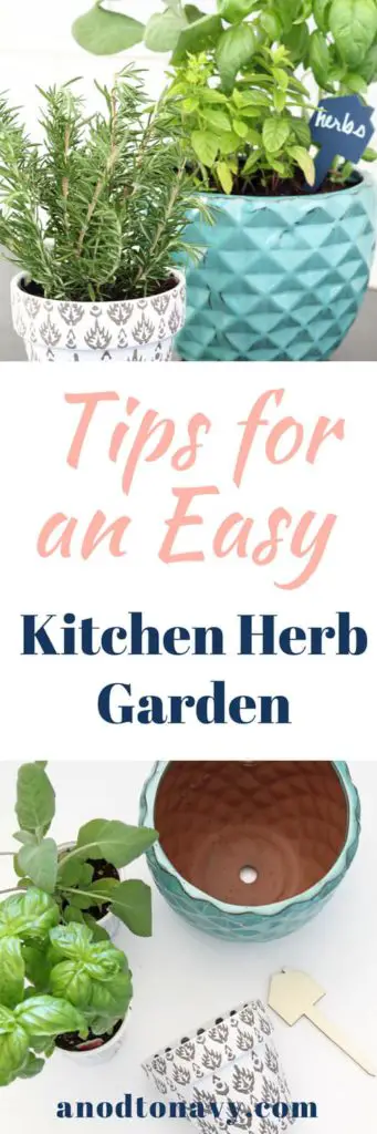 tips for a kitchen herb garden 