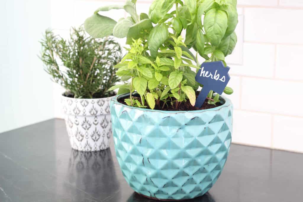 tips for a kitchen herb garden 