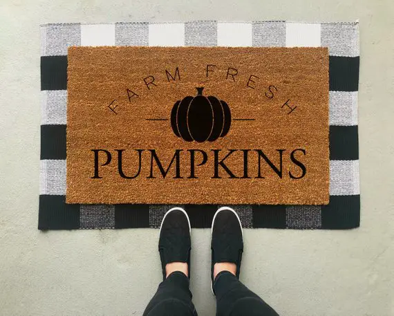 10 cute and affordable fall doormats 