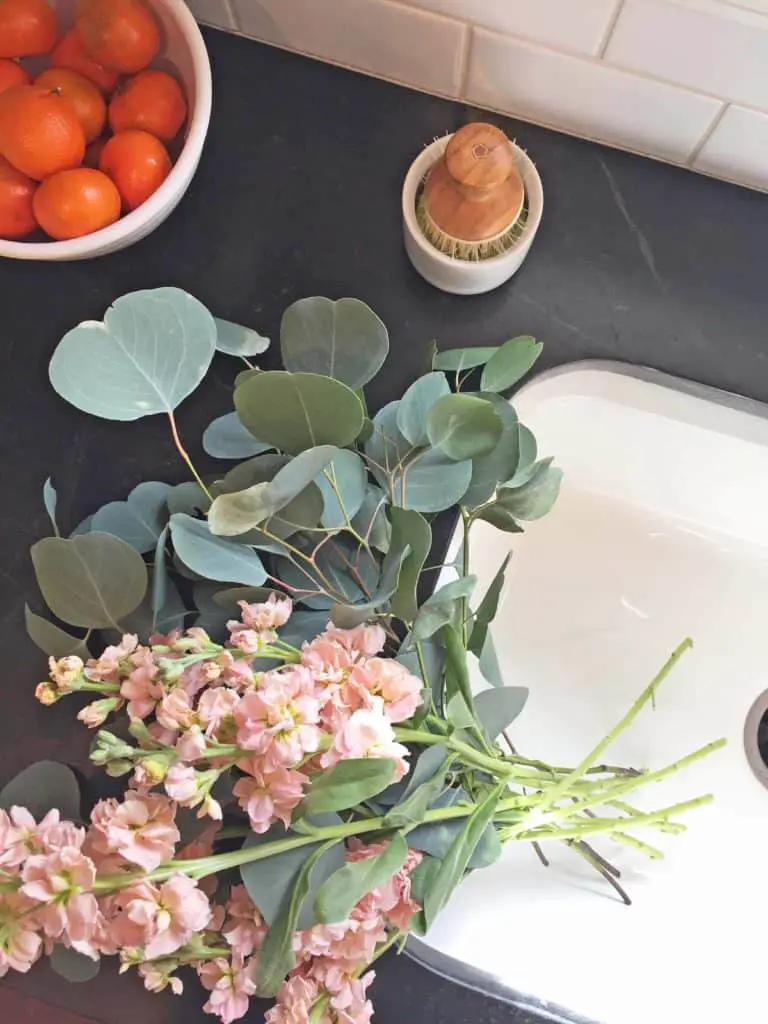 small kitchen tour with soapstone counters