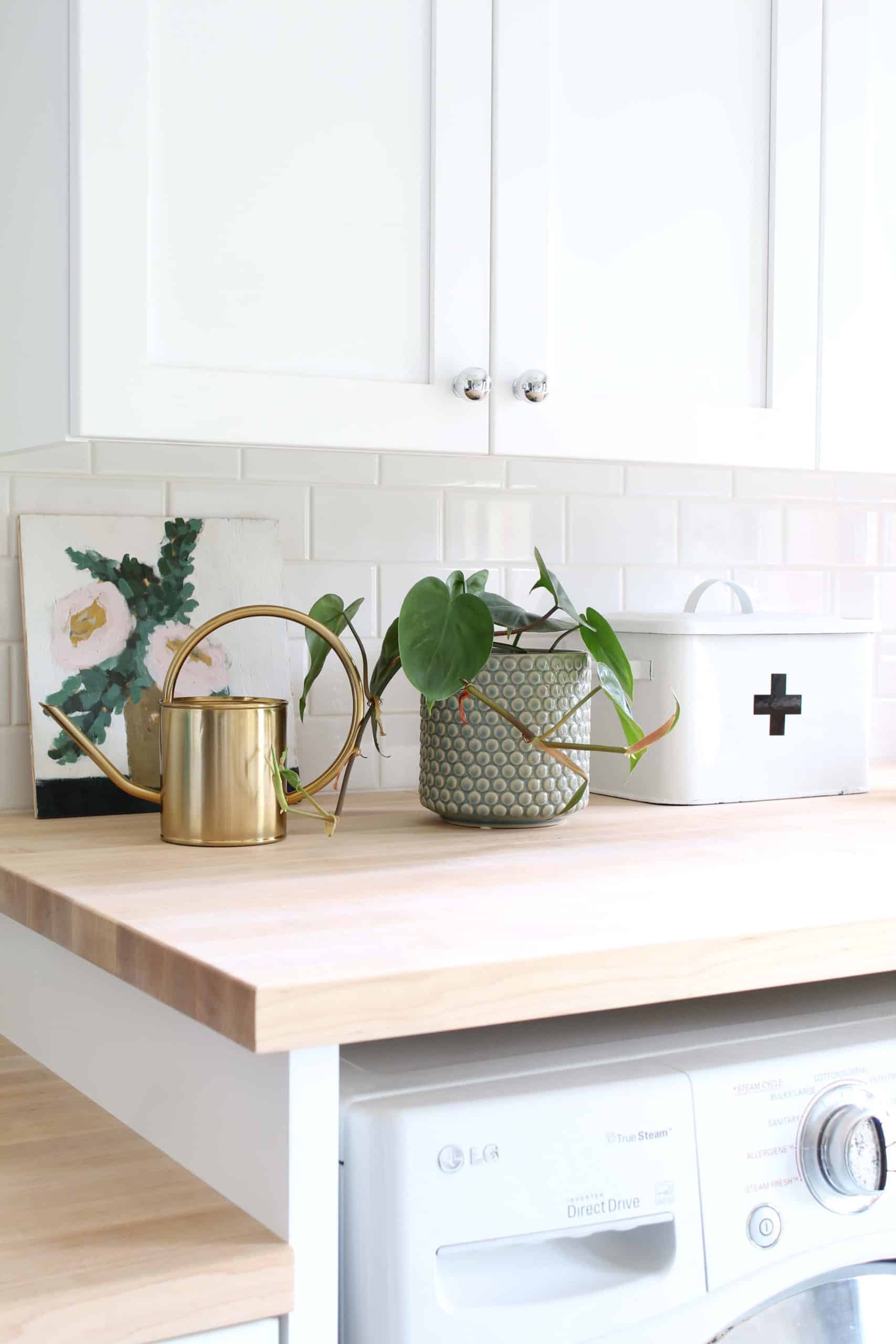 brass watering can, floral farmhouse art, white enamel first aid box, heart leaf philodendron 