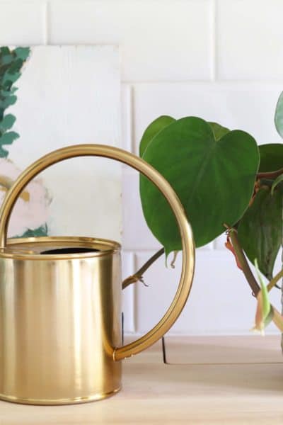 My Favorite Ways To Decorate With Plants