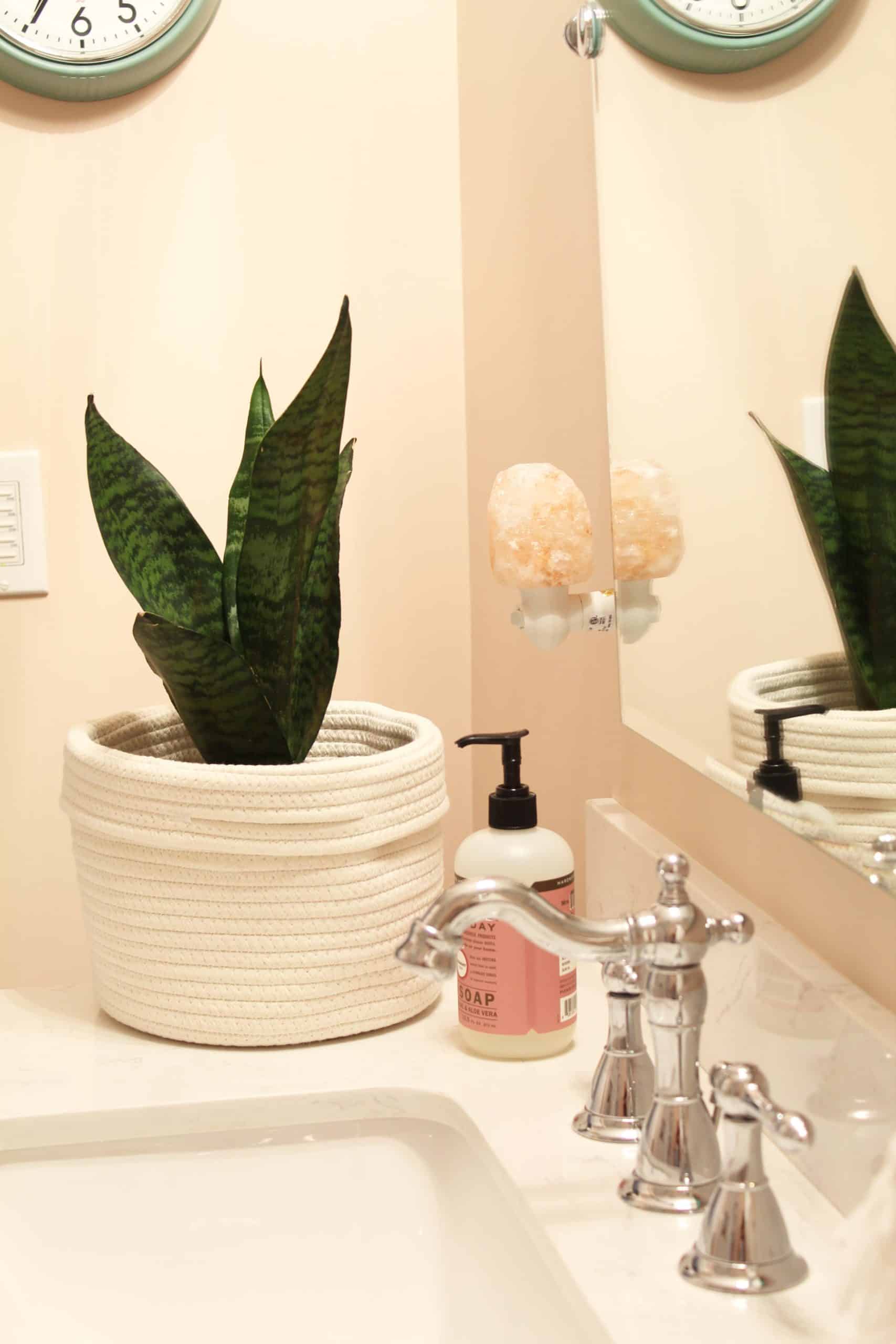 snake plant in bathroom, salt lamp night light, bathroom with pink walls