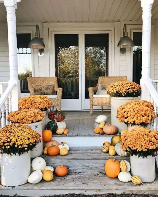 white farmhouse with oversized mums in crocks on front porch