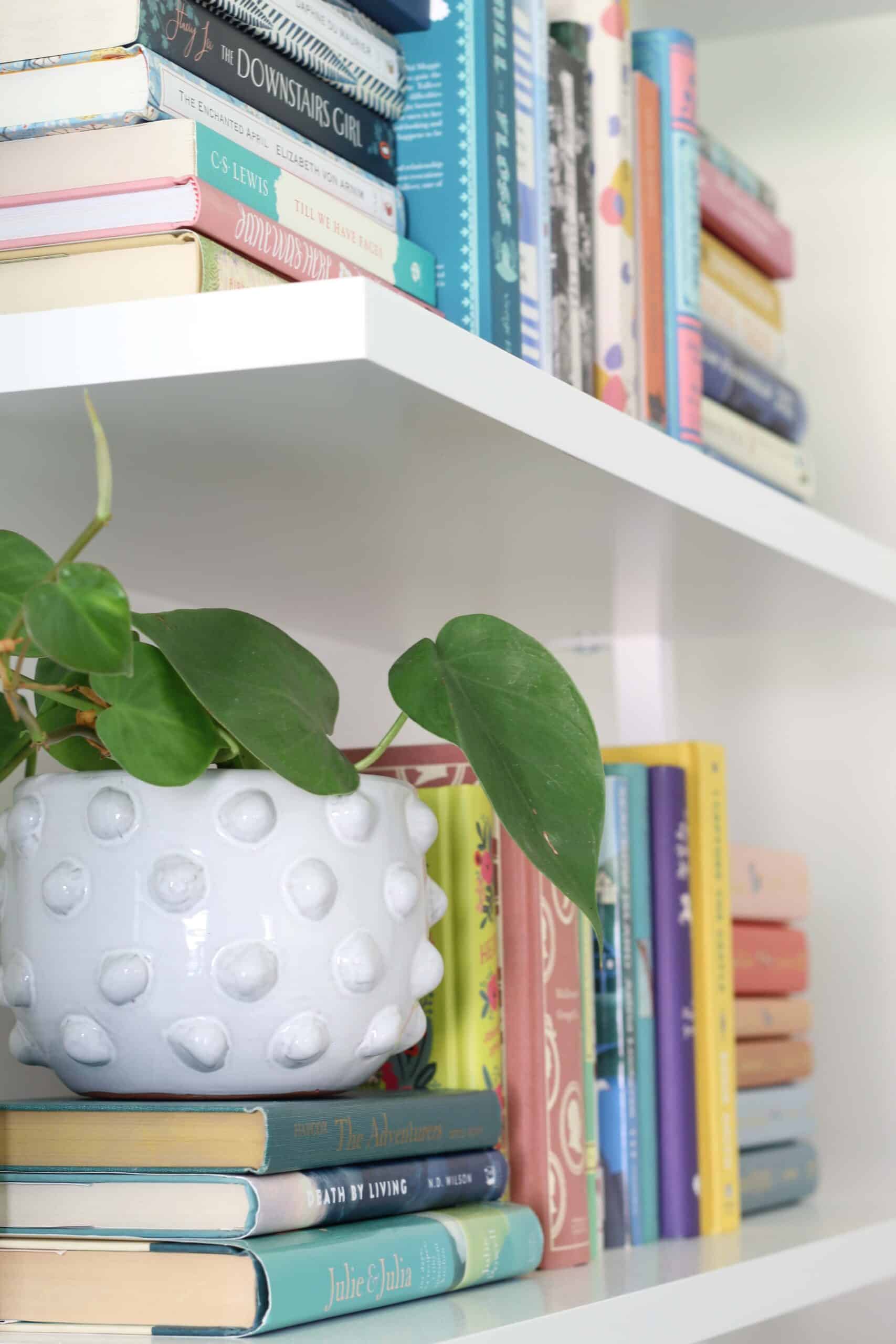 ladder bookshelf with penguin clothbound classics and wordsworth collector editions and white dot planter pot